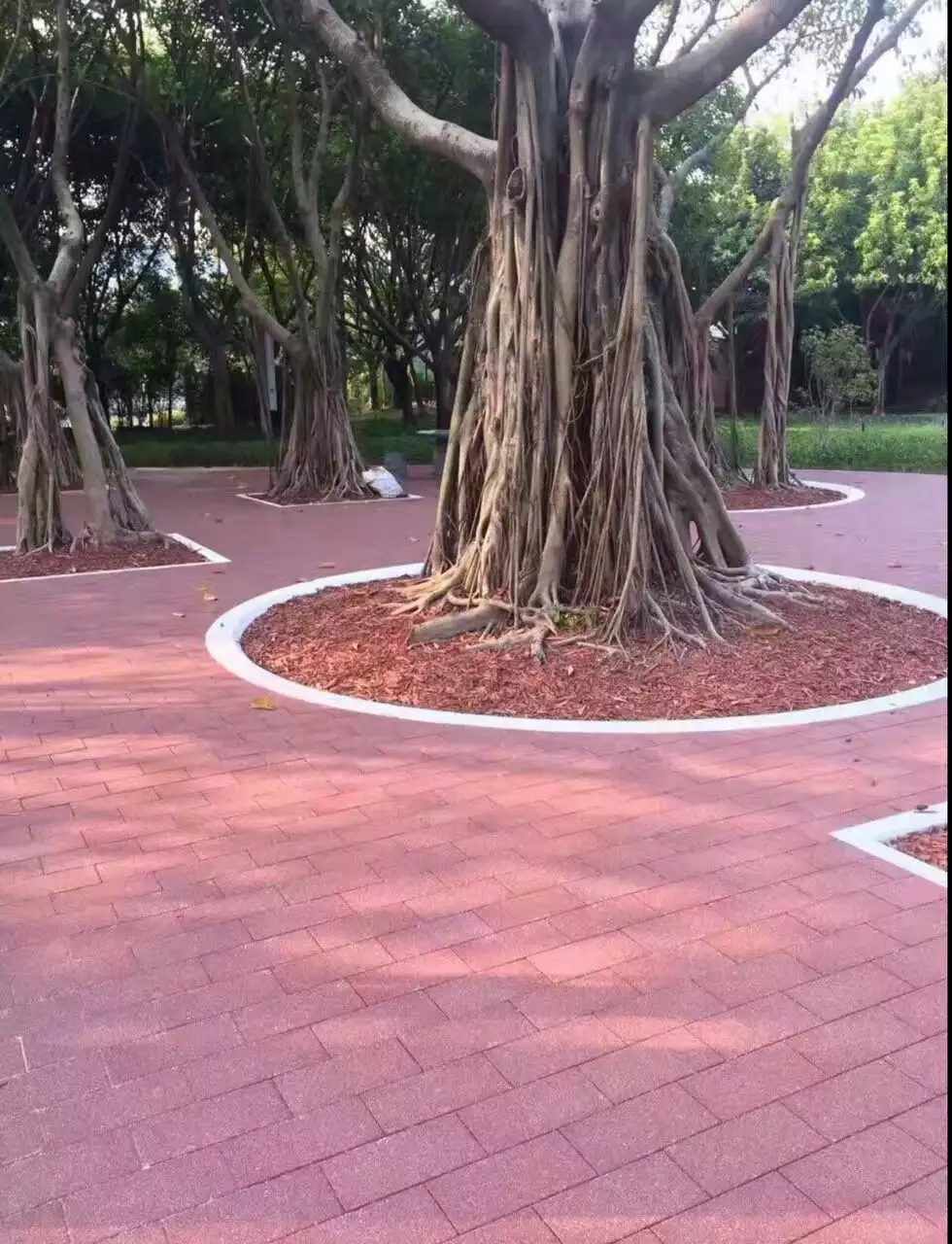 案例 (4)